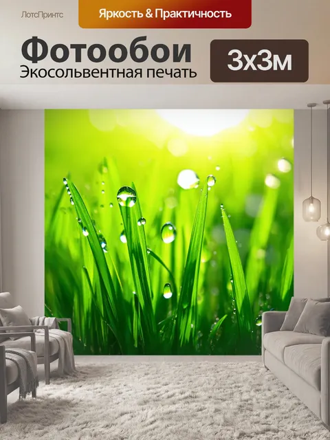 Фотообои утренние капли росы на ярко-зеленых травинках в лучах солнца