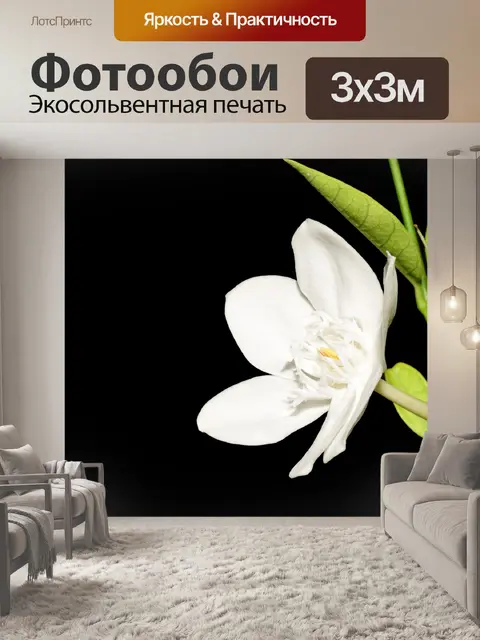 Фотообои Цветок