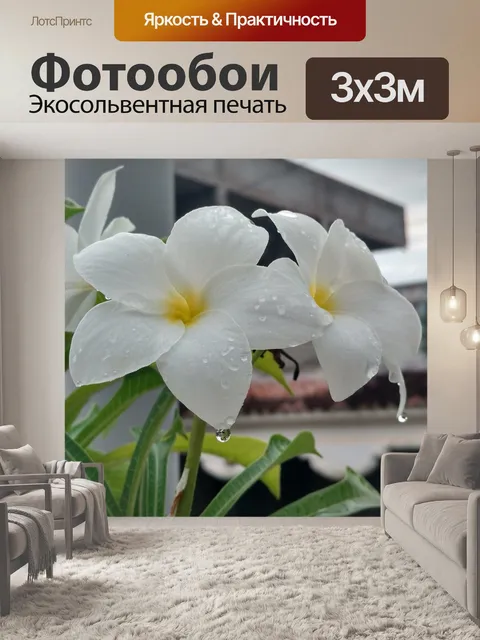 Фотообои Цветок