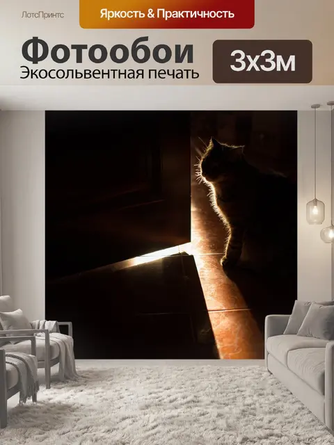 Фотообои Кот
