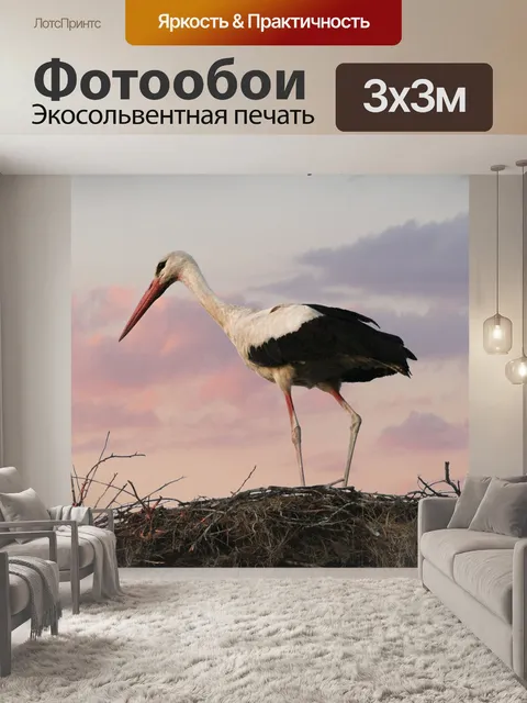 Фотообои Аист