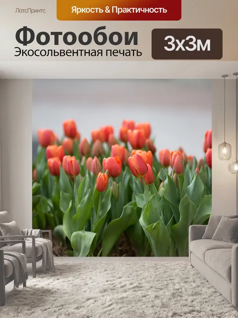 Фотообои Красные цветы