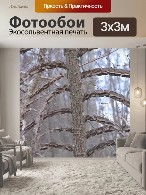 Фотообои Природа