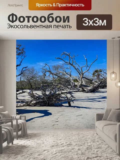 Фотообои коряги деревья