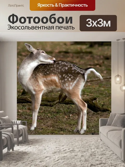 Фотообои Олень