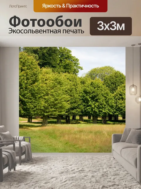 Фотообои Деревья в сельской местности