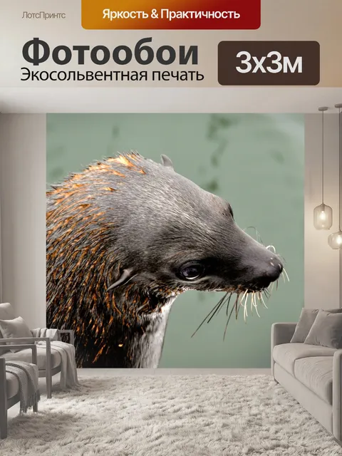 Фотообои Природа