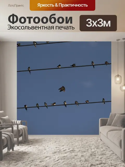 Фотообои Птицы