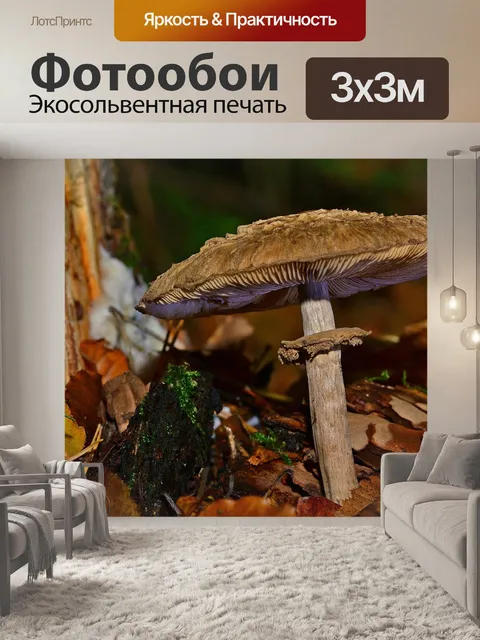 Фотообои Природа