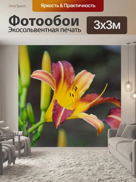 Фотообои Лилии