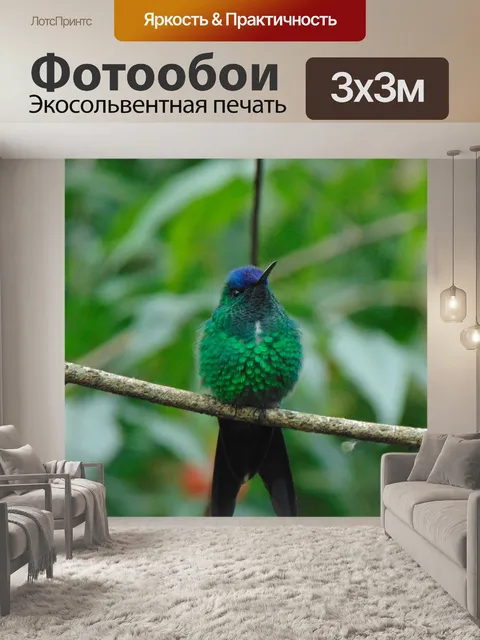 Фотообои Птицы