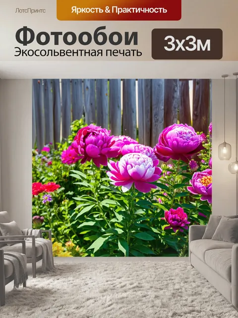 Фотообои пионы в сочетании с другими летними цветами, под ярким солнечным светом на фоне старого забора