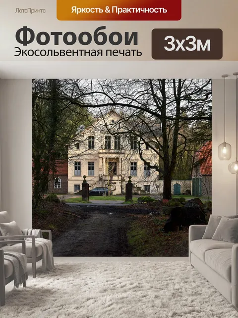 Фотообои Лес