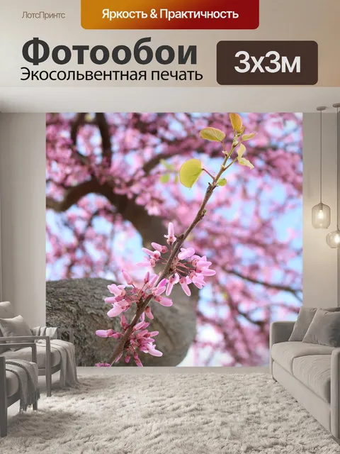 Фотообои Цветы