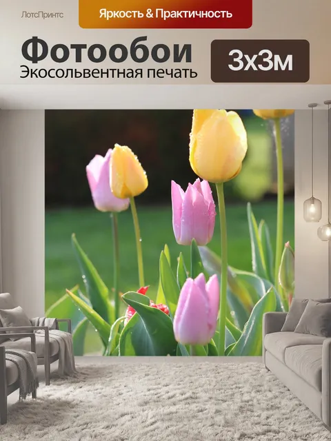 Фотообои Тюльпаны