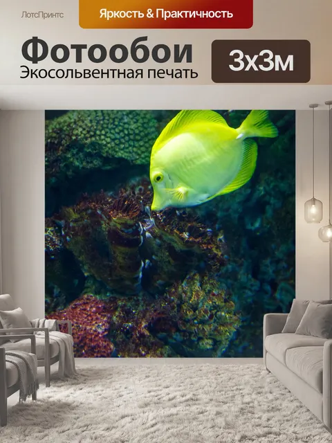 Фотообои Тропические рыбы под водой