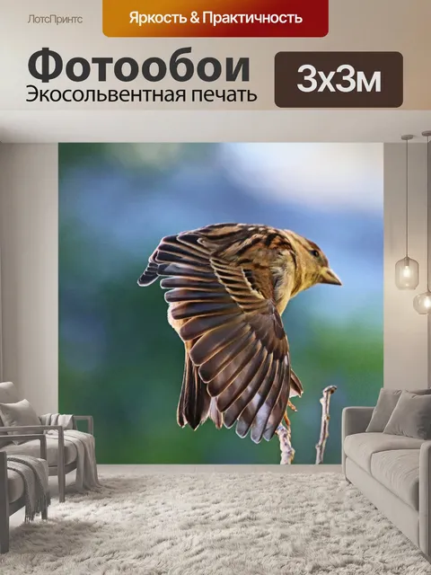 Фотообои Птица