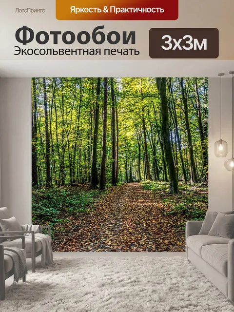 Фотообои Лес