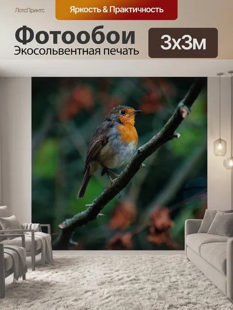Фотообои Птица