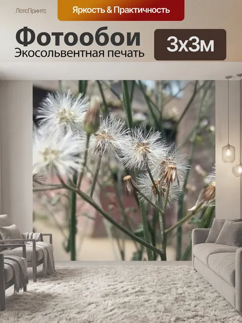 Фотообои Цветы