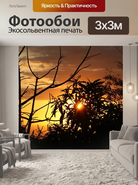 Фотообои Закат