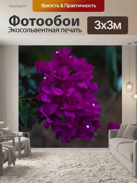 Фотообои Цветы