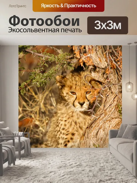 Фотообои Леопард