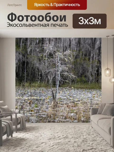 Фотообои Дерево на болоте