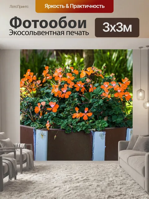 Фотообои Маленькие оранжевые цветы в горшке