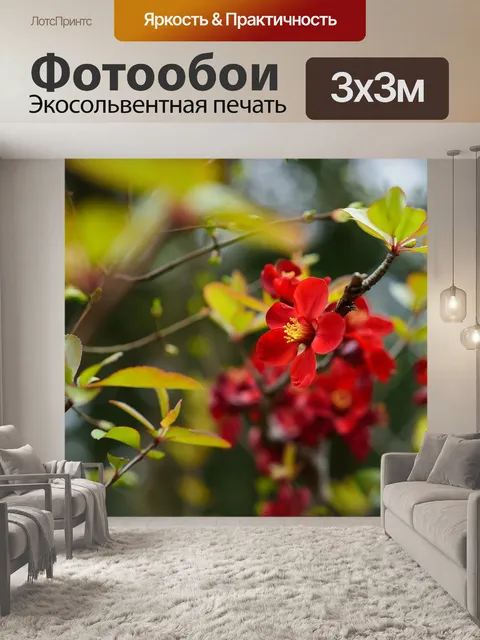 Фотообои Цветы
