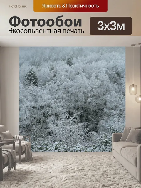 Фотообои Фрост