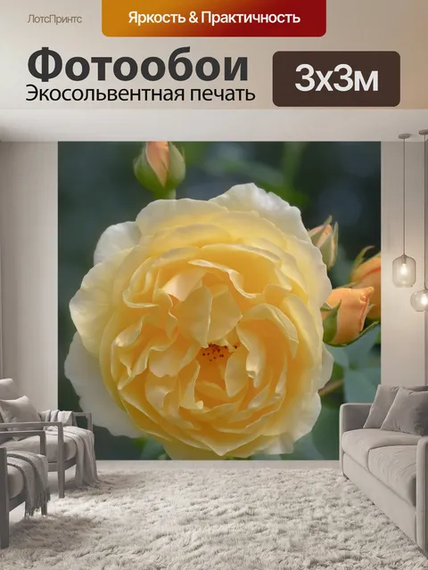 Фотообои Цветы