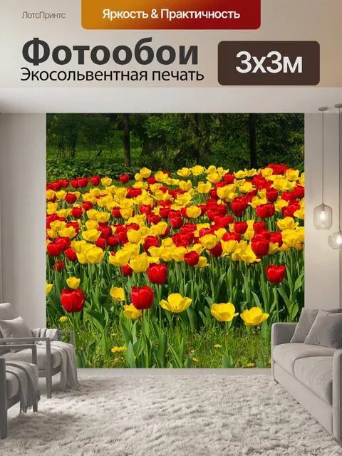 Фотообои Тюльпаны