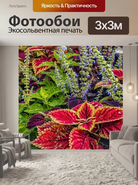 Фотообои Цветы