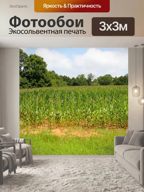 Фотообои Кукурузные поля