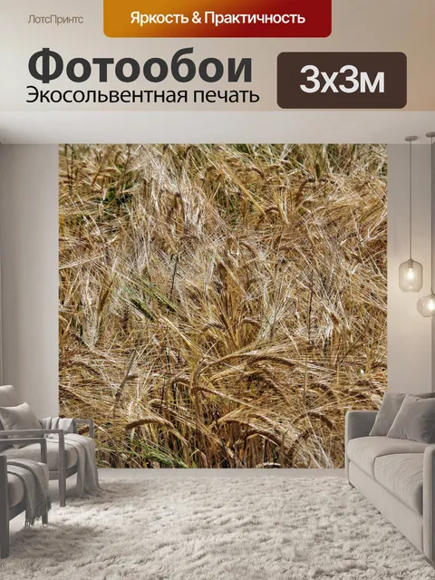 Фотообои Поля