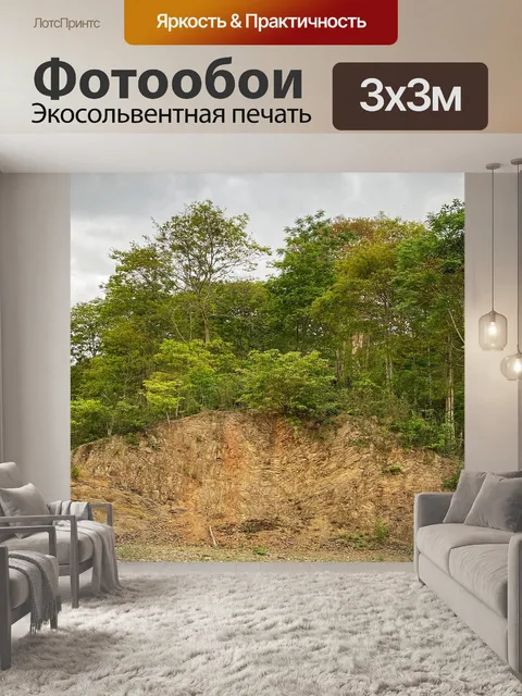 Фотообои Лес