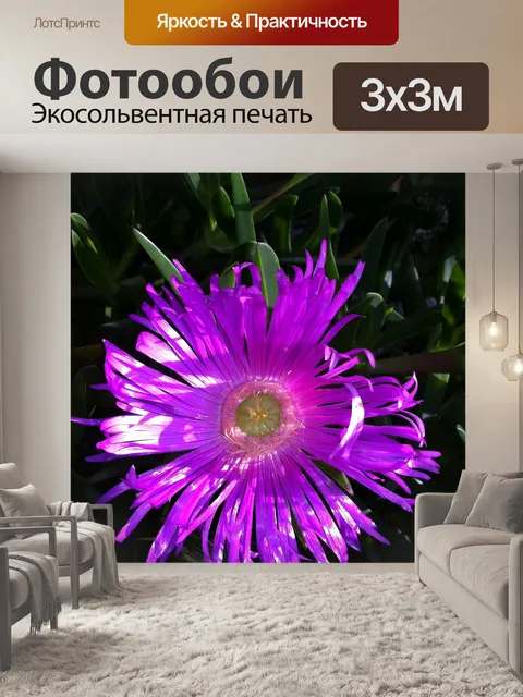 Фотообои Цветок