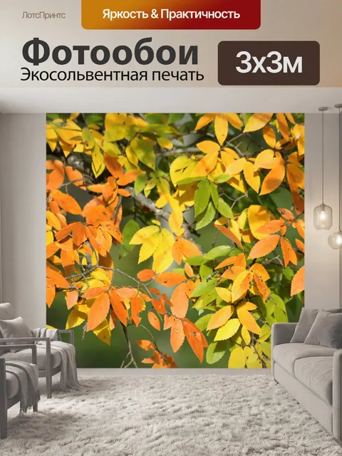 Фотообои Осенние листья фон