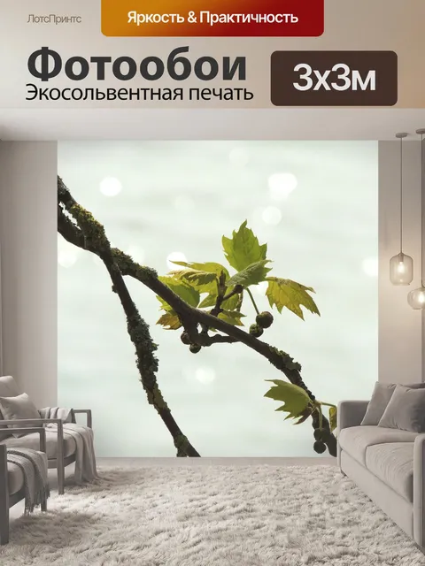 Фотообои Листья