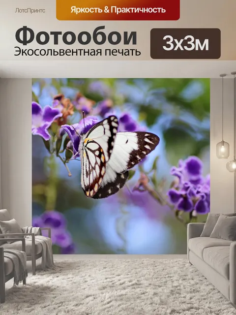 Фотообои Бабочка