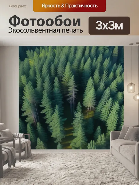 Фотообои птицы, летающие над сосновым лесом