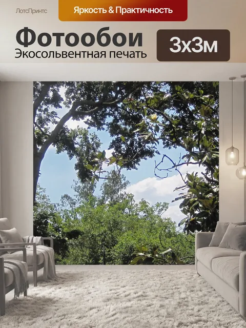 Фотообои деревья и листва на фоне неба