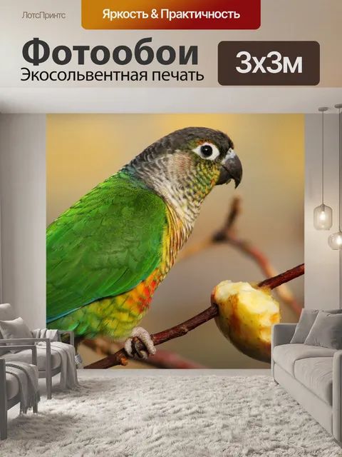 Фотообои Птица