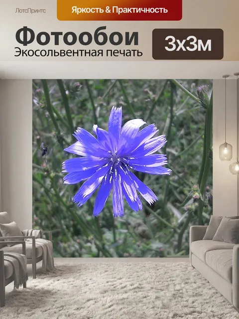 Фотообои Цветы