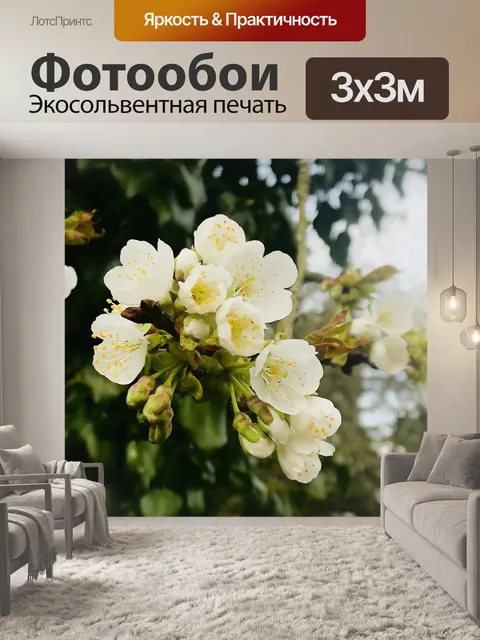 Фотообои Вишни в цвету