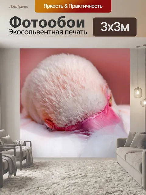 Фотообои Flamingo Panorama