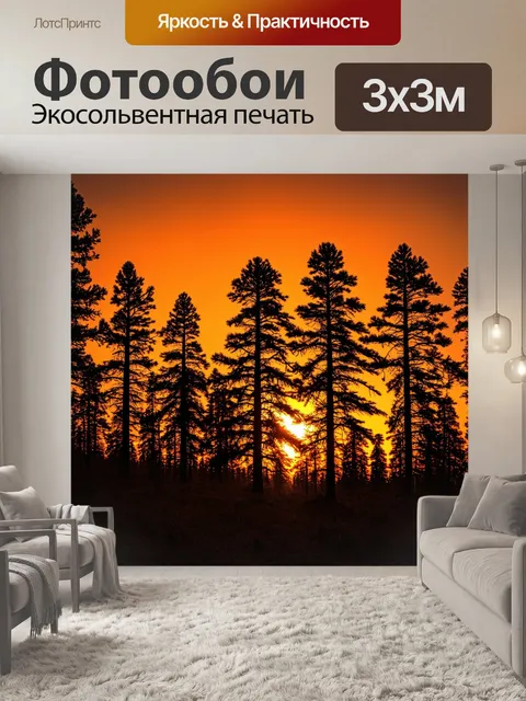 Фотообои закат в сосновом лесу