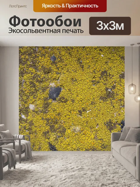 Фотообои Камень