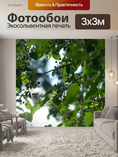 Фотообои Фрукты